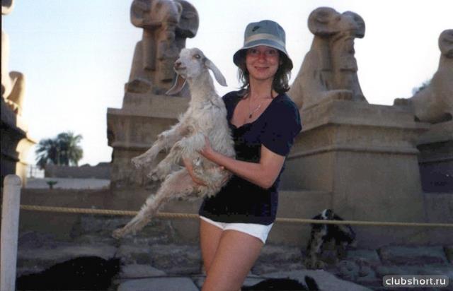 14695_alenasheep.jpg